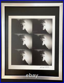 Set of 10 Andy Warhol 1984 Prints Signed & Mounted in 14x11in Frames Buy it Now